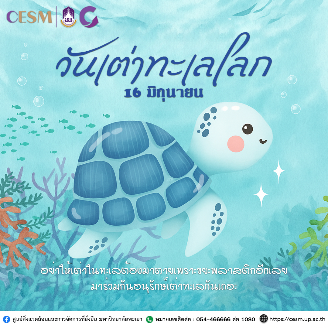 วันเต่าทะเลโลก (World Sea Turtle Day)