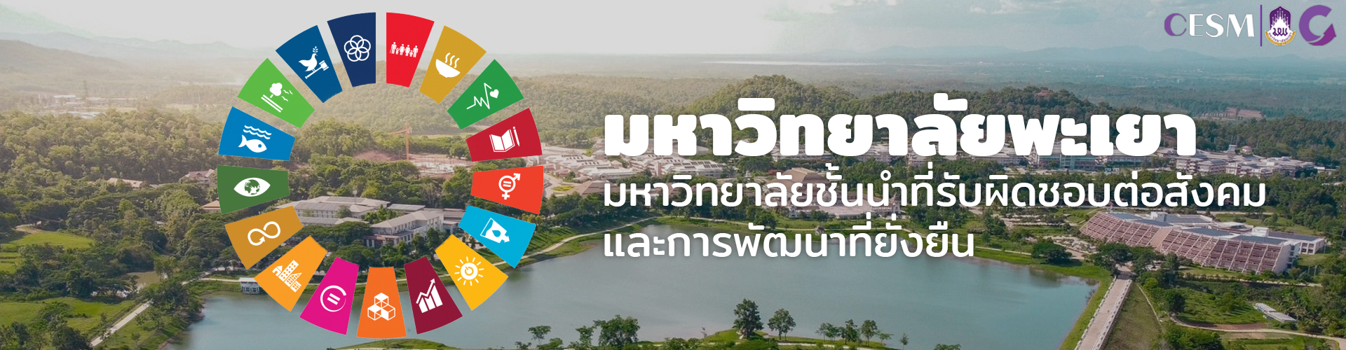 sdgs