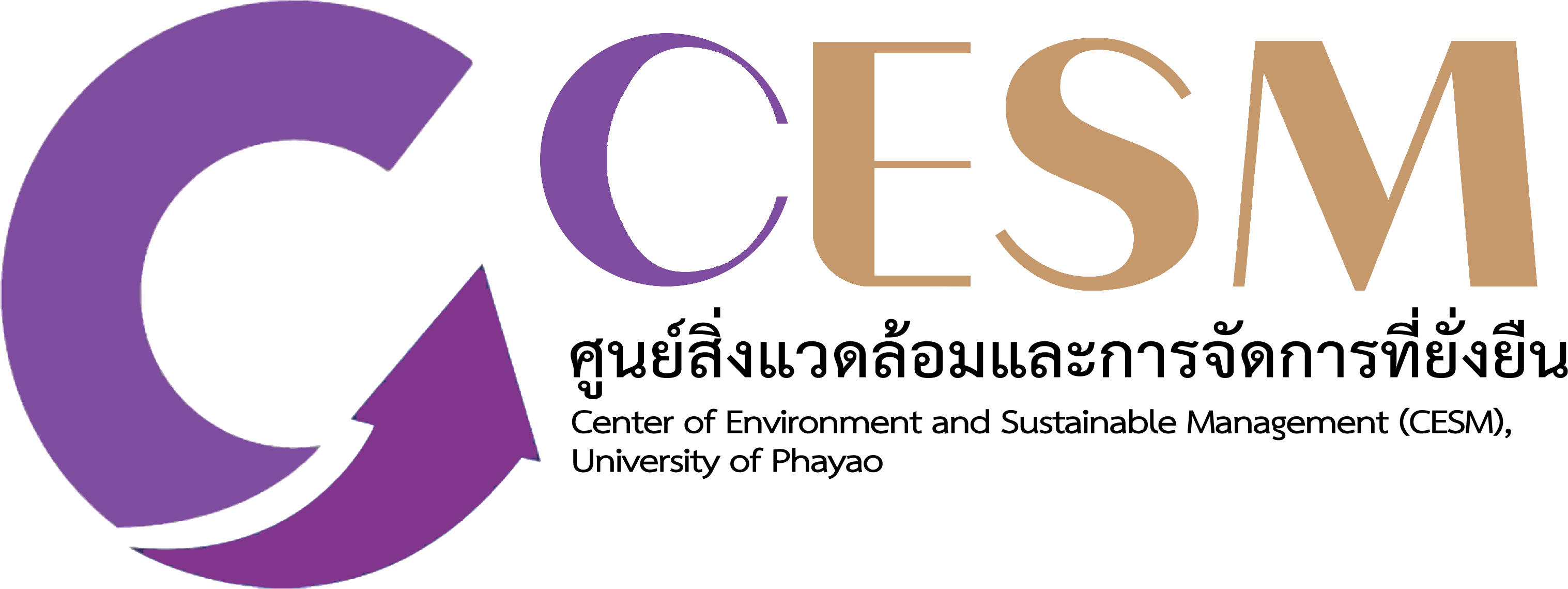 CESM Logo