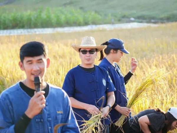 ภาพประกอบ
