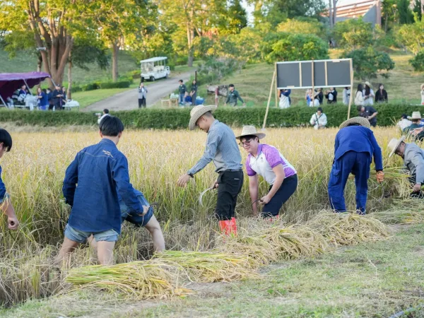 ภาพประกอบ