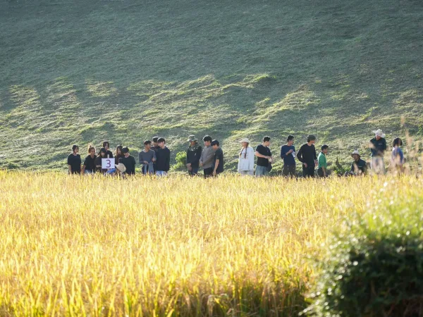 ภาพประกอบ