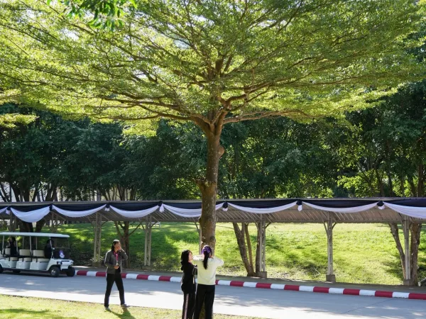 ภาพประกอบ
