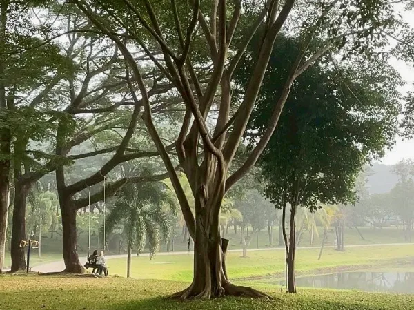 ภาพประกอบ