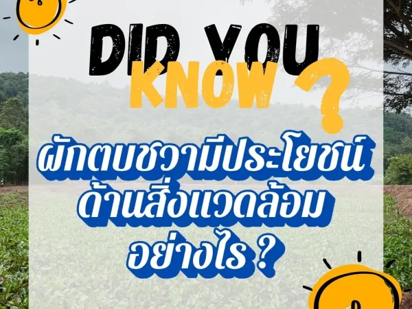 ภาพประกอบ