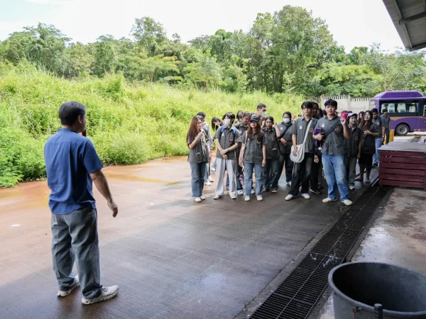 ภาพประกอบ
