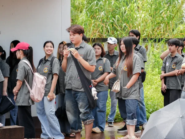 ภาพประกอบ