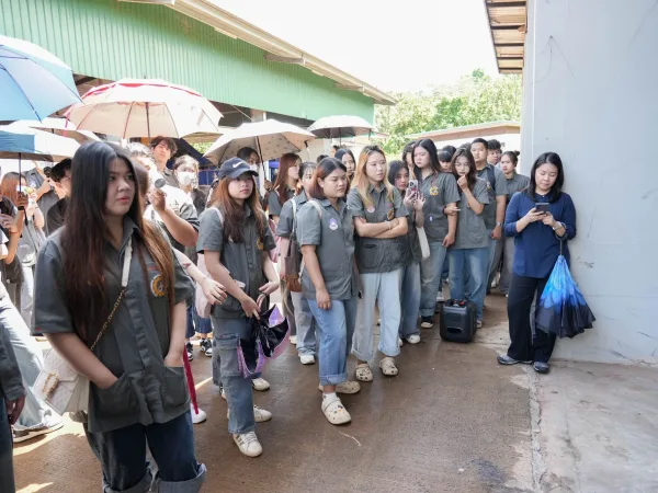 ภาพประกอบ