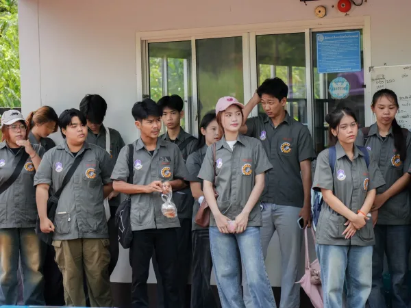 ภาพประกอบ