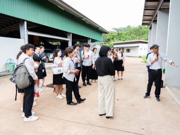 ภาพประกอบ