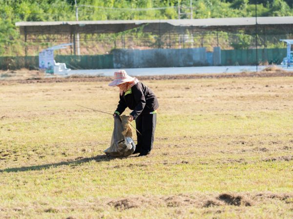 ภาพประกอบ