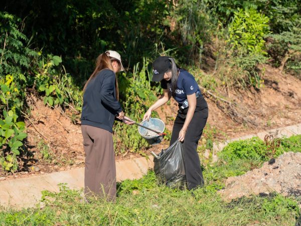 ภาพประกอบ