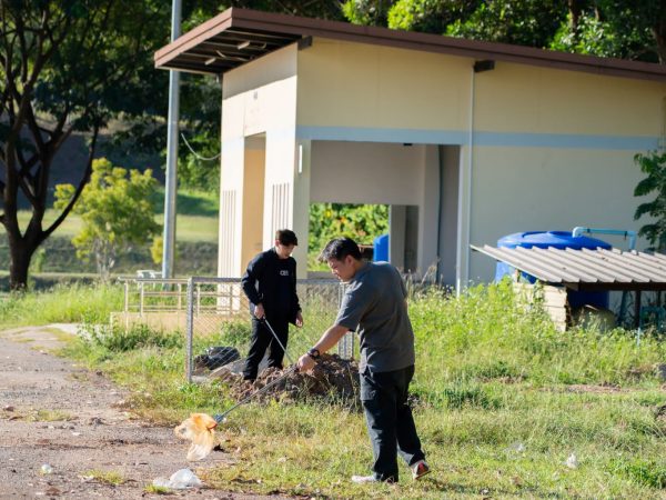 ภาพประกอบ