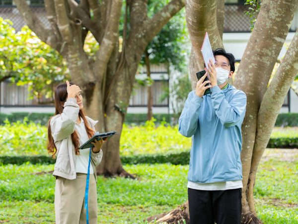 ภาพประกอบ