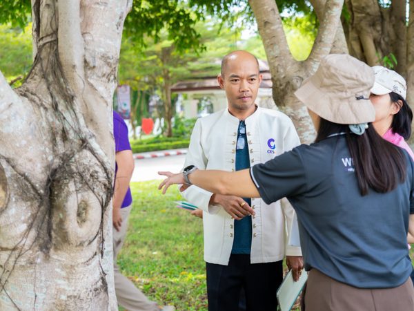ภาพประกอบ